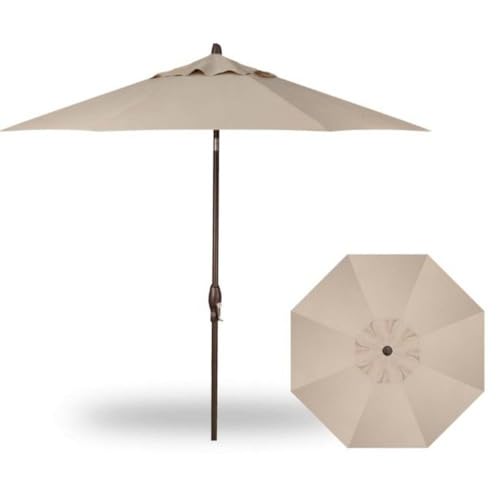 Obravia Khaki w/Bronze Frame