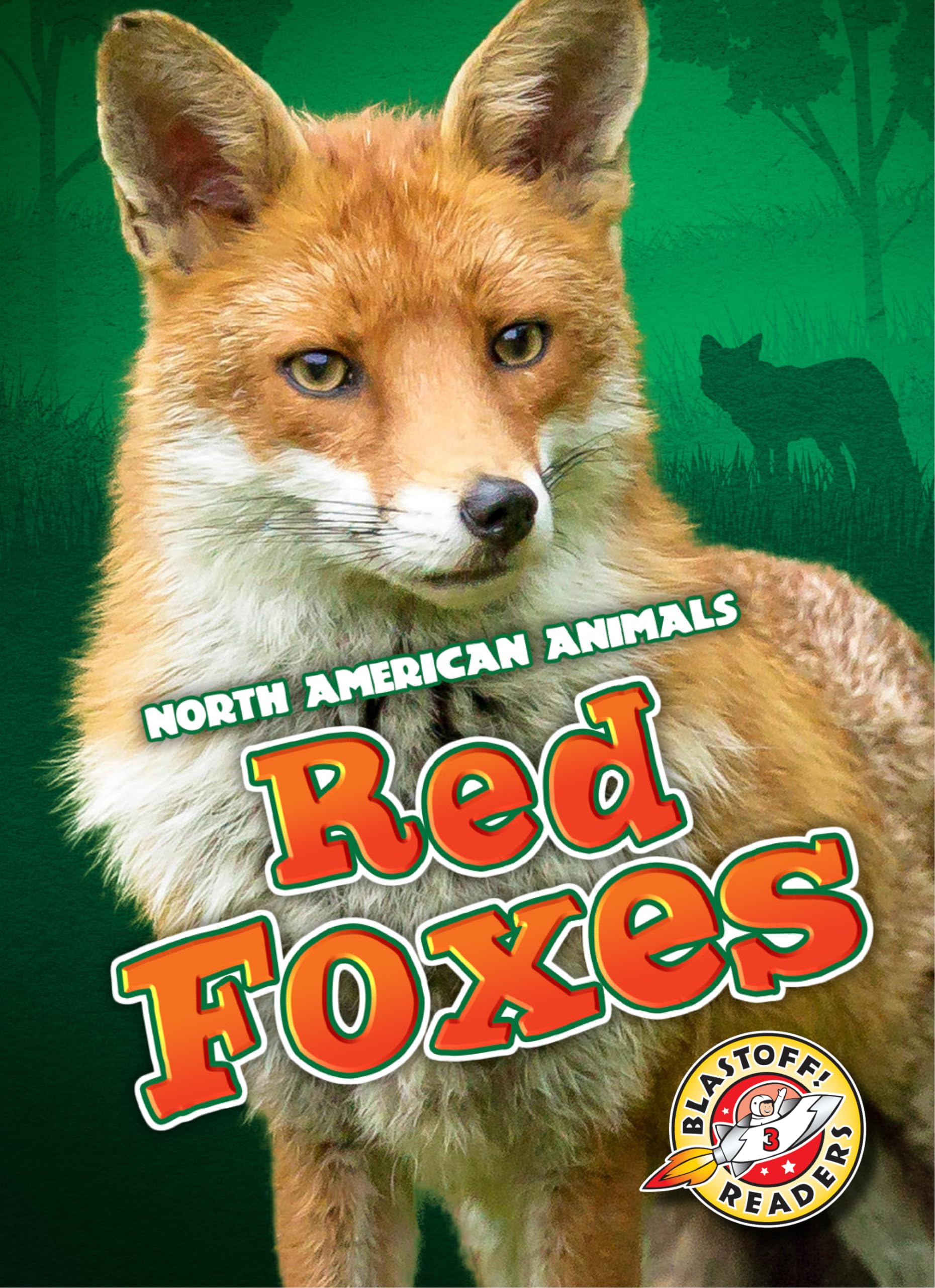 Red Foxes - North American Wildlife Facts, Habitat & Behavior | Ideal for Nature Enthusiasts & Educational Use
