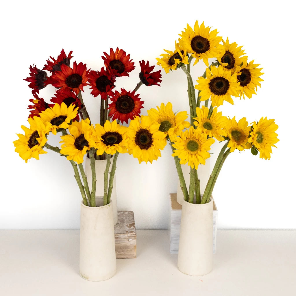Assorted Sunflowers DIY Flower Arrangement Kit - Fresh Cut Flowers for Home Decor, Weddings, and Events