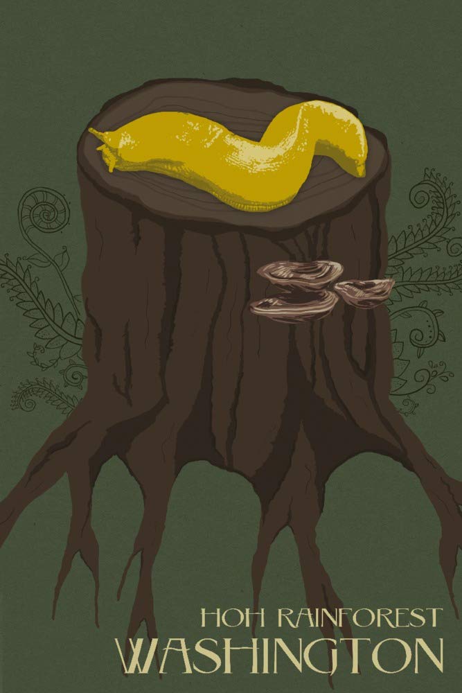 Signed Hoh Rainforest Banana Slug Art Print - 24x36 Letterpress Wall Decor Poster | Washington Nature Inspired Home & Office Decor