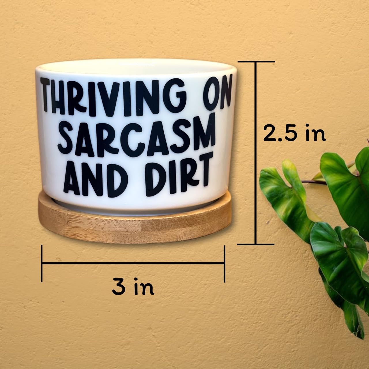 Stylish Ceramic Plant Pots with Inspirational Quotes - Small White Succulent, Cactus & Air Plant Pots - Perfect Unique Gift for Plant Lovers - Ideal for Home Decor, Office Desk & Indoor Gardening