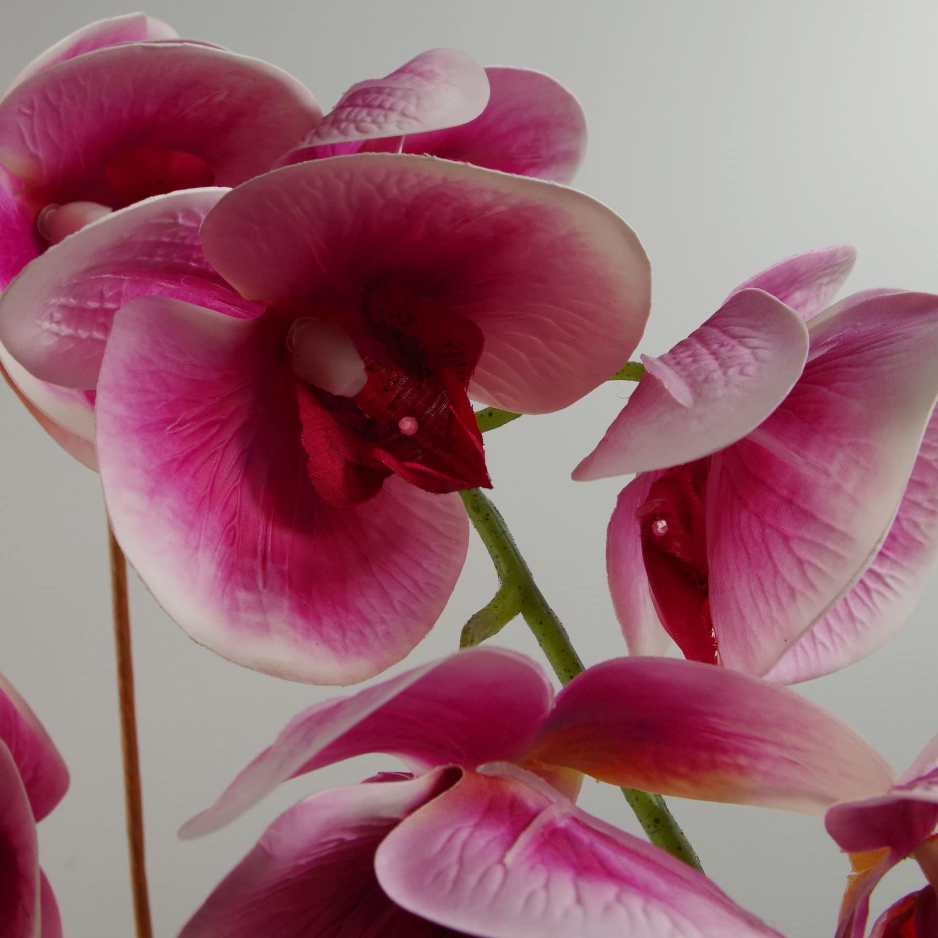 Leaf Design UK Artificial Orchid - Realistic Silk Fake Flowers for Home Decor, Wedding Centerpieces & Office Decoration