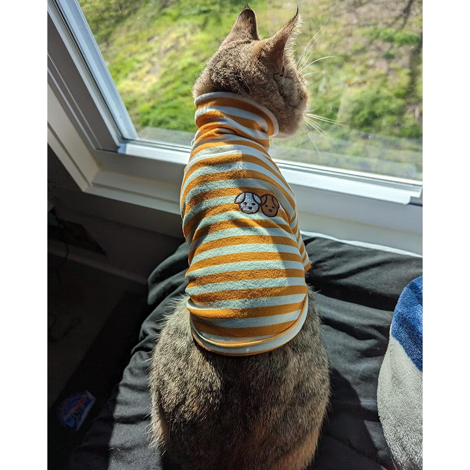 Cute Striped Turtleneck Dog Sweater - Super Soft & Stretchy Embroidered Puppy Pullover for Small Medium Large Dogs & Cats (Yellow, Small) - Perfect for Winter Walks & Indoor Cozy Time