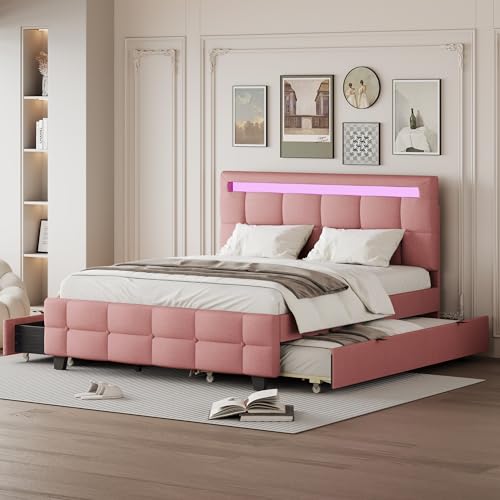 Pink-xlt