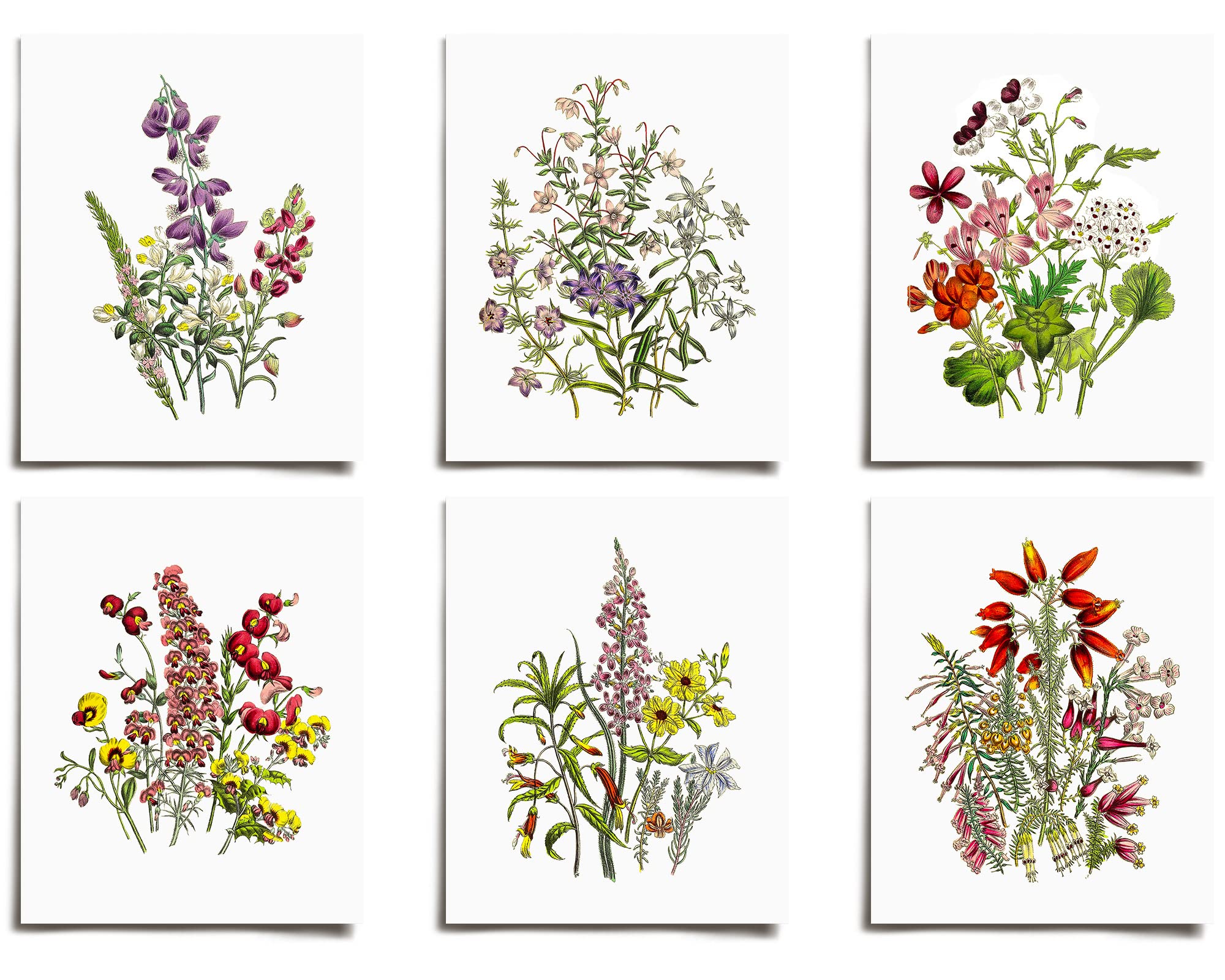 Vintage Wildflower Floral Prints Set of 6 | Modern Wall Art Victorian Style Unframed Posters | Boho Abstract Aesthetic Decor for Living Room, Bedroom, Office | Large 11x17 Inch Floral Illustration Artwork | Perfect for Home Decor, Gift for Teens, Kids, Baby | AC-1083-11x17 | Wall Decor for Farmhouse, Apartment, Dorm Room