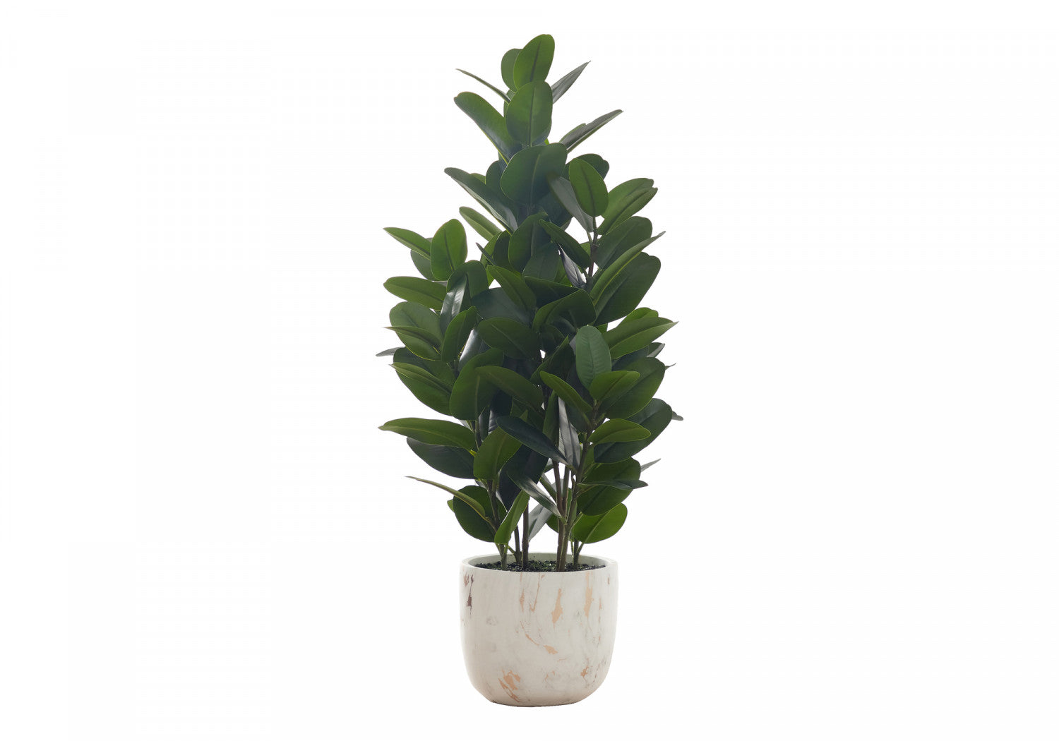 31 Garcinia Tree in 7 Marble-Look Pot - Green Indoor Plant for Home Decor, Office, or Gift