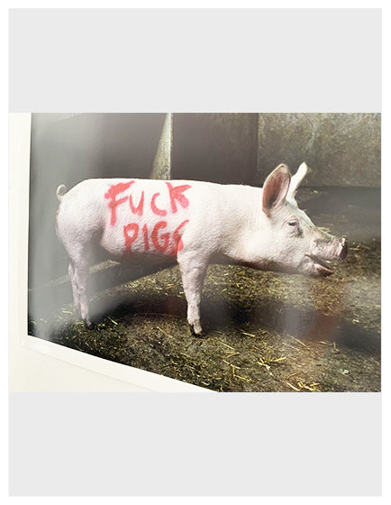Banksy 'Fuck Pigs' High Society Print by Lazarides - Street Art Wall Decor for Urban Home & Office