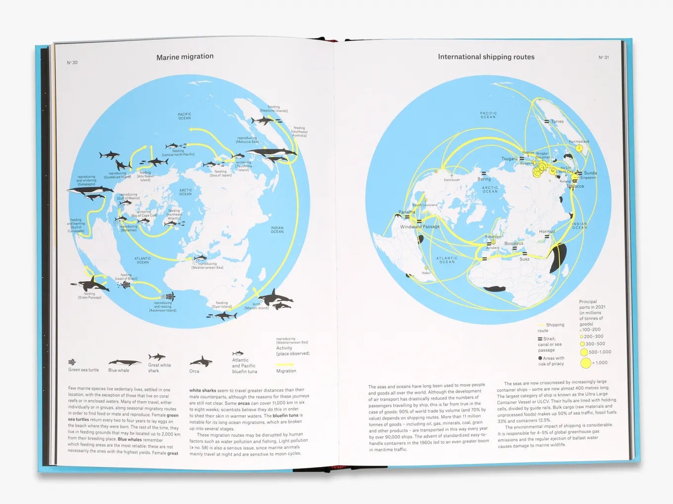 Phenomena - Explore the Mysteries of the Universe | Perfect for Science Enthusiasts & Gift Ideas