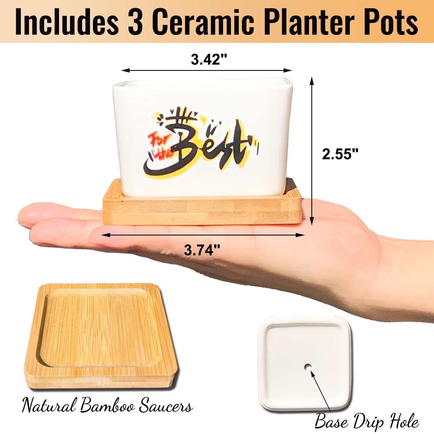 Best Aunt Ever Gifts for Women - Unique Succulent Plant Pots, Perfect Birthday or Christmas Present from Niece/Nephew | Ideal for Home Decor, Office Desk & Special Occasions