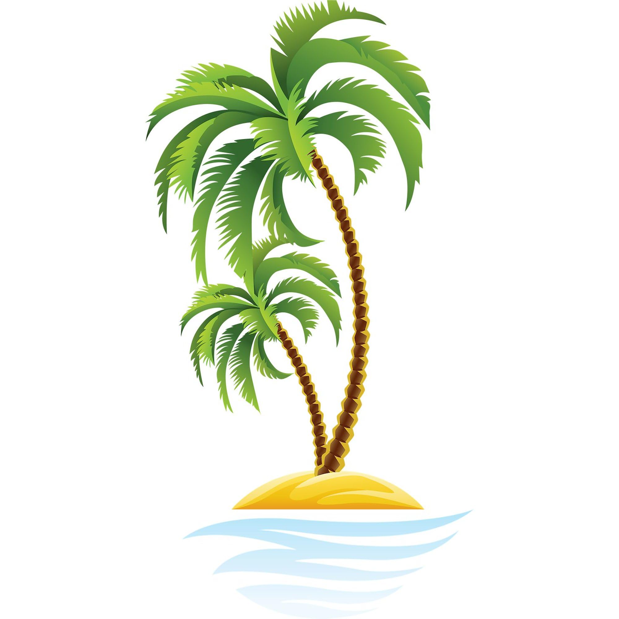 Palm Tree Car Sticker - Oval Bumper Decal for Cars & Laptops