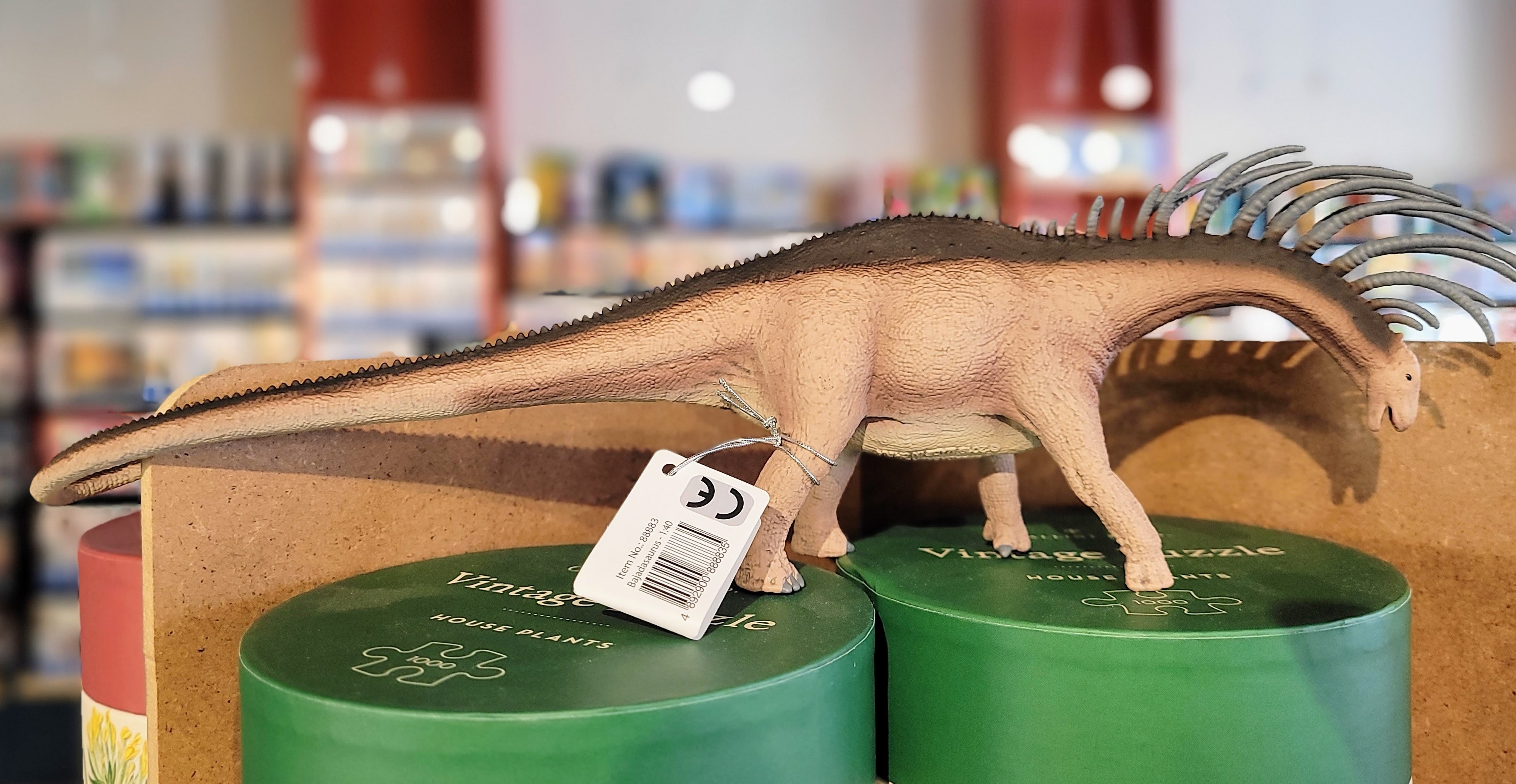 CollectA Bajadasaurus Dinosaur Figurine - Realistic Prehistoric Toy for Kids, Dinosaur Lovers & Collectors | Perfect for Playtime, Education, Diorama & Display