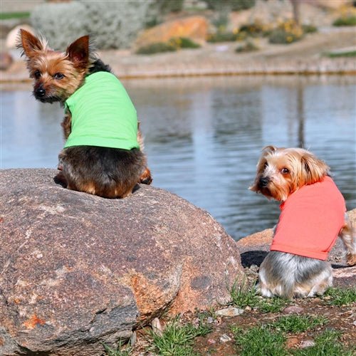 Green Flash Cotton Dog Tank Top - Breathable & Comfortable Summer Pet Shirt for Small & Medium Dogs - Perfect for Outdoor Walks & Playtime