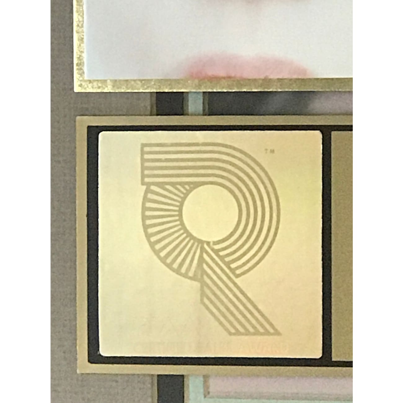 Fiona Apple Tidal RIAA Certified Gold Album Award - Perfect for Music Collectors & Fans, Great for Display in Home or Office