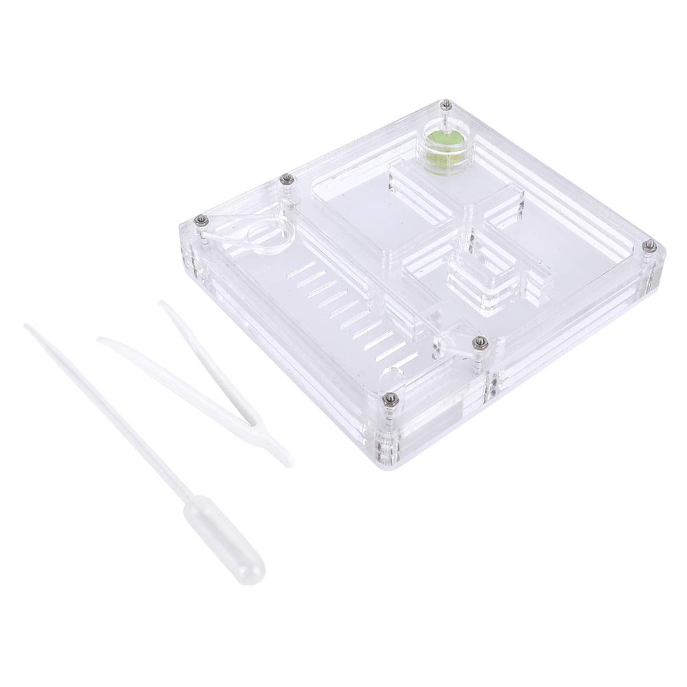Felenny Transparent Acrylic Ant Farm Kit - Ant Breeding Box, Formicarium Habitat for Ant Colonies - Educational Science Display & Home Decor for Kids & Adults