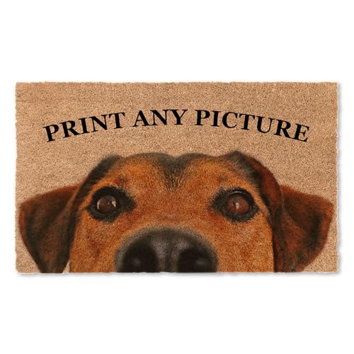 Custom Logo