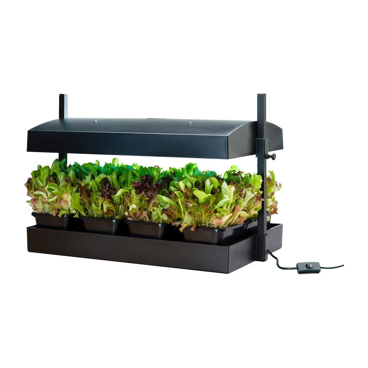 SunBlaster T5 Grow Light Garden - High Efficiency Full Spectrum LED Plant Light for Indoor Hydroponics, Seedlings, and Greenhouse Gardening | Perfect for Home Herb Gardens, Succulents, and Veggie Growth