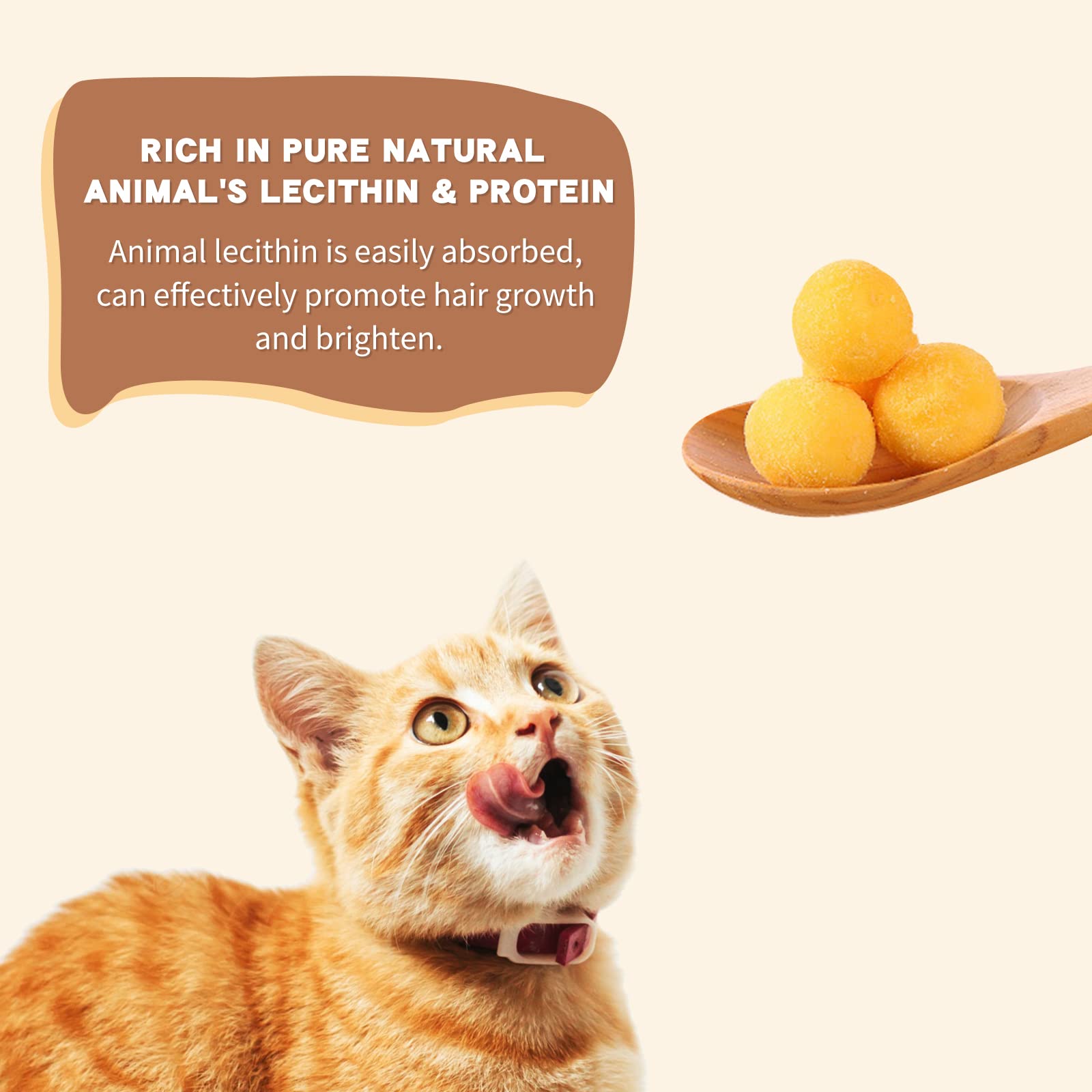 Freeze Dried Quail Egg Yolk Dog & Cat Treats - Limited Ingredient, Grain-Free, Healthy Training Snacks - 8.8oz for Small to Large Pets - Perfect for Reward, Obedience Training & Digestive Health