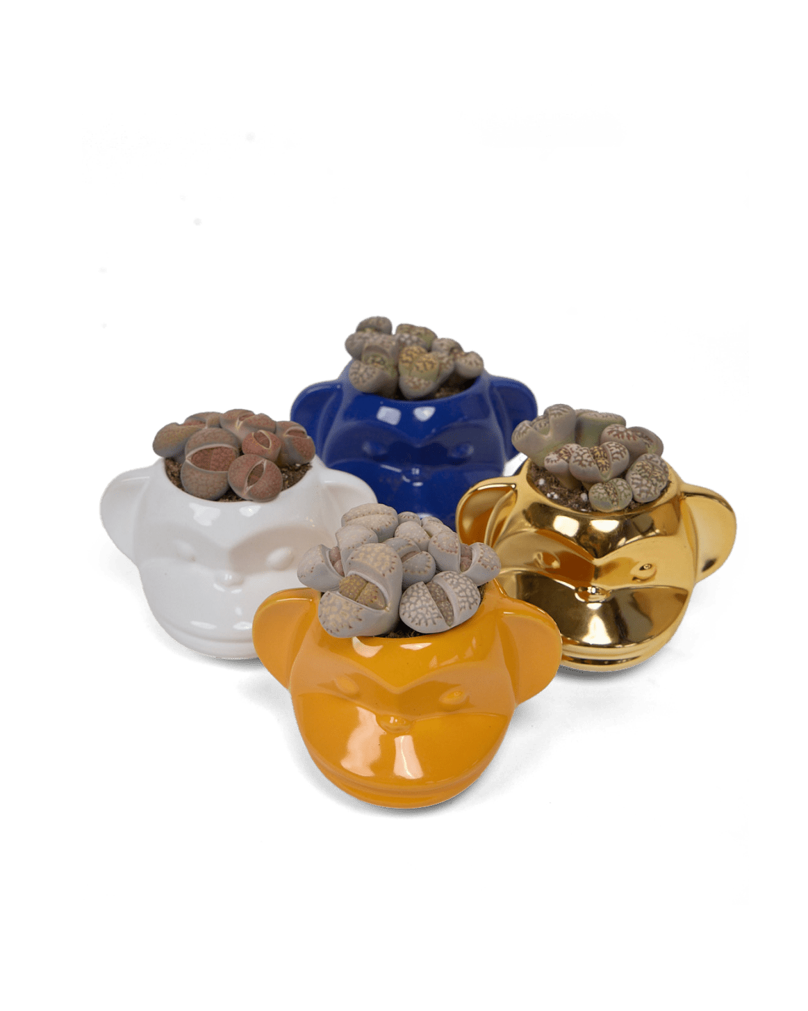 Funky Monkey Planter - Cute Ceramic Flower Pot for Indoor Plants, Succulents & Home Decor | Perfect for Living Room, Office & Gift Ideas
