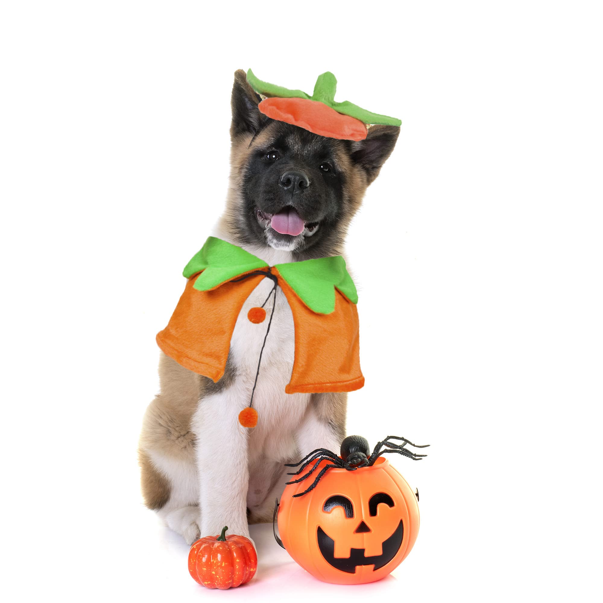 ADOGGYGO Halloween Dog Costume Set - Pumpkin Cloak & Hat for Small to Medium Dogs | Pet Pumpkin Outfit for Halloween Parties & Photo Shoots