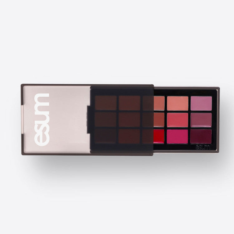 ESUM The Artistry Lip Palette No10 Nuance - 12 Long Lasting Matte & Glossy Lipstick Shades for Day & Night Makeup | Perfect for Parties, Weddings & Special Occasions