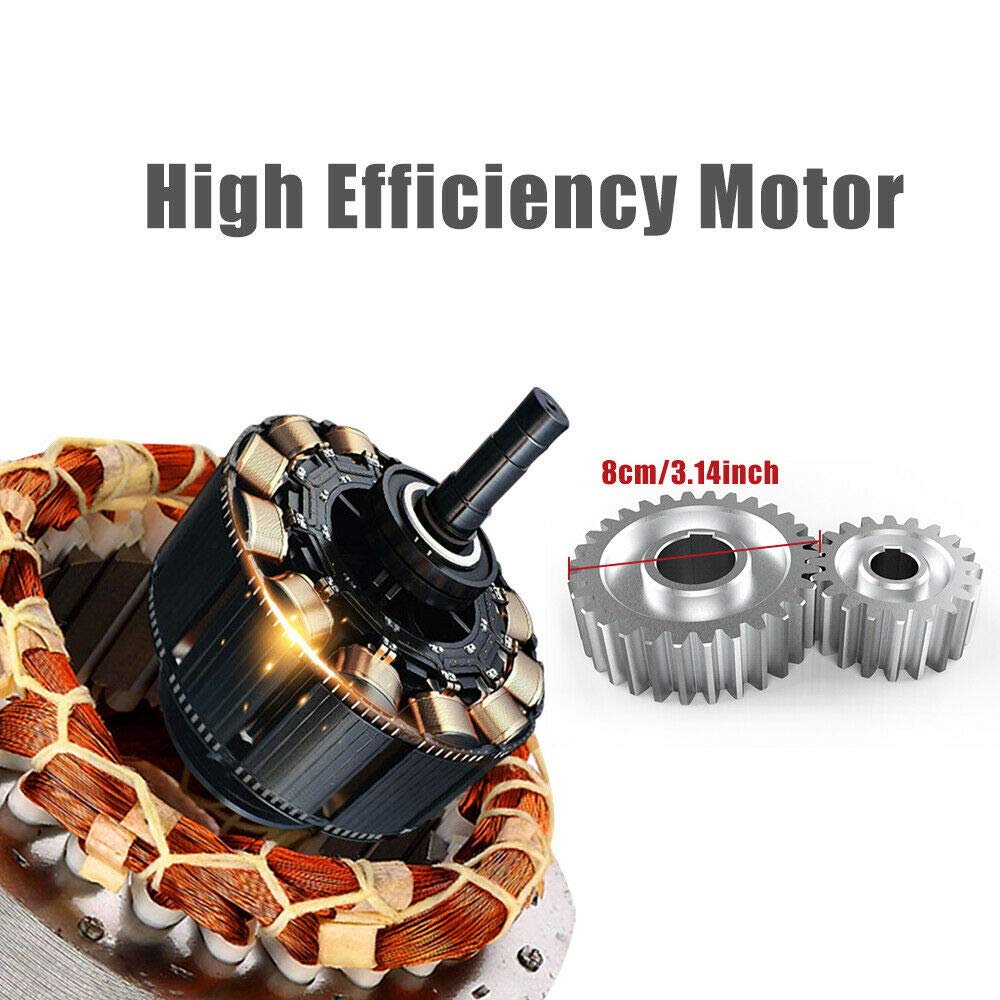 Automatic Electric Oil Press Machine for Home - Cold Press Nut & Seed Oil Extractor for Peanut, Almond, Flaxseed, Sesame, Sunflower, Pumpkin, Hemp, Castor, Perilla, Canola | DIY Healthy Cooking, Salad Dressings, Skincare & Haircare
