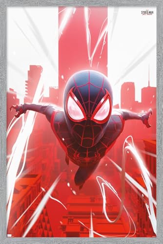 Gray Framed Version