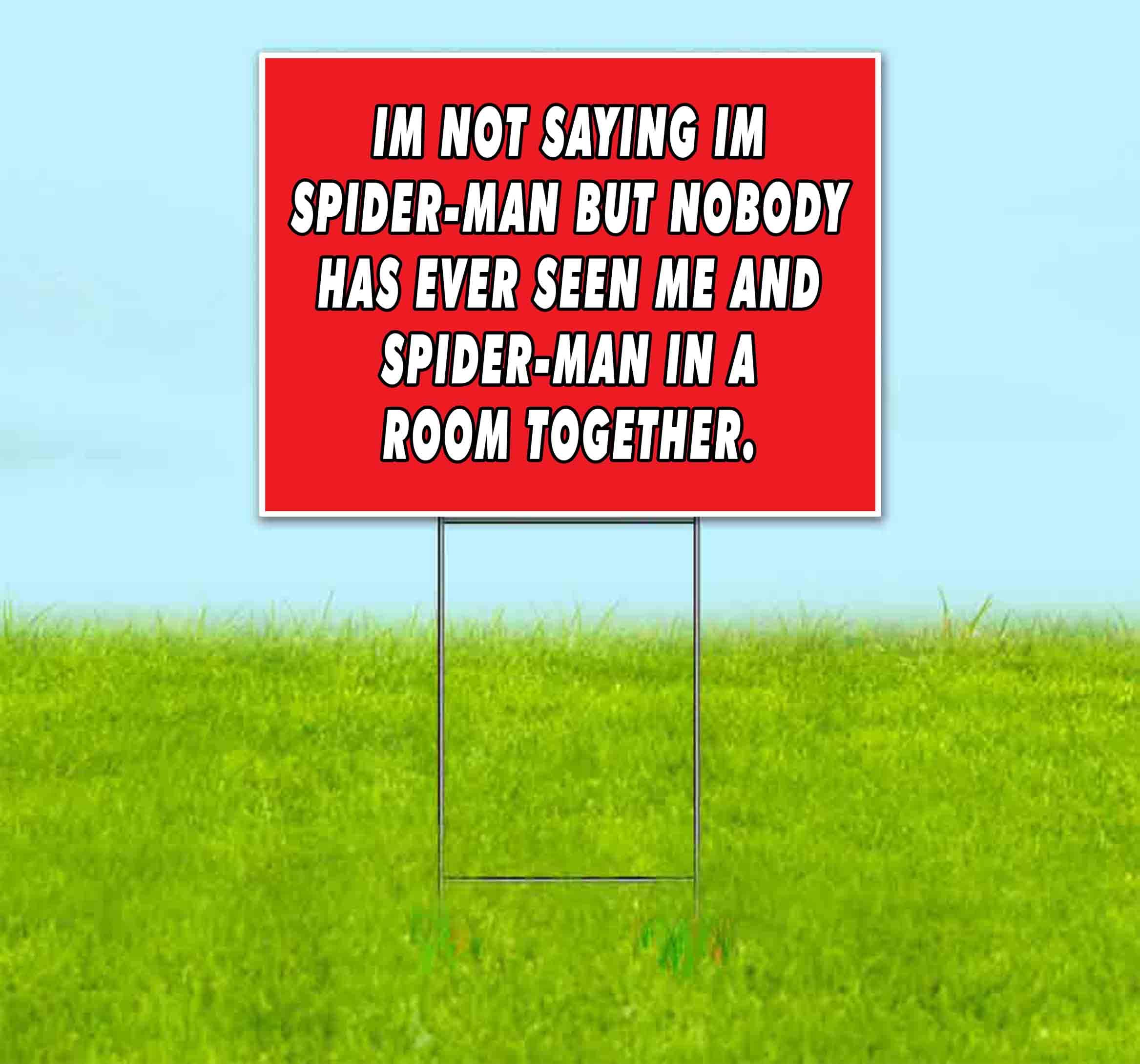 Spider-Man Inspired 18