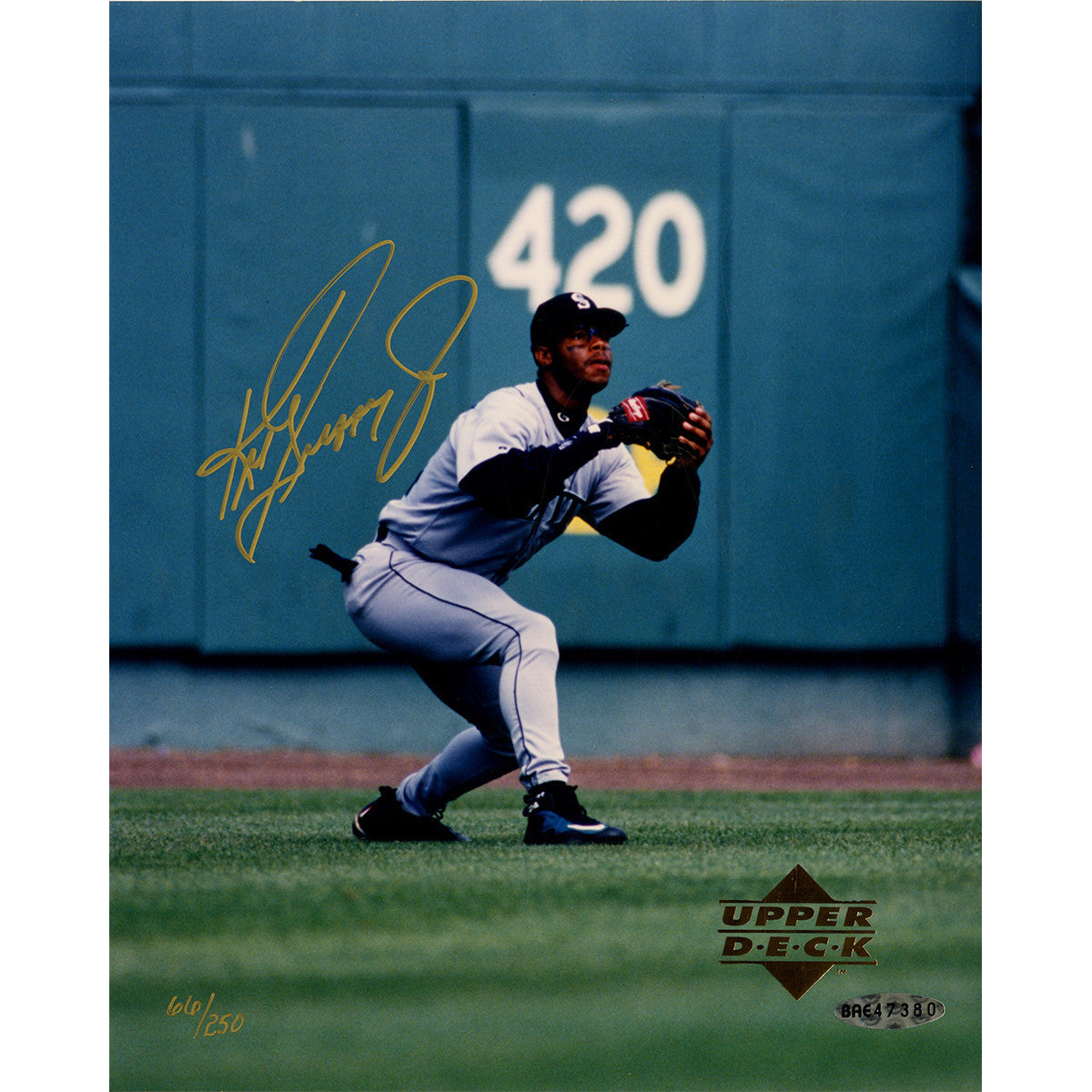 Authentic Ken Griffey Jr Signed Diving Catch 8x10 Photo - UDA Certified - Perfect for Baseball Memorabilia Collectors & Sports Fans - Great for Man Cave, Sports Room Decor & Gift for Baseball Enthusiasts