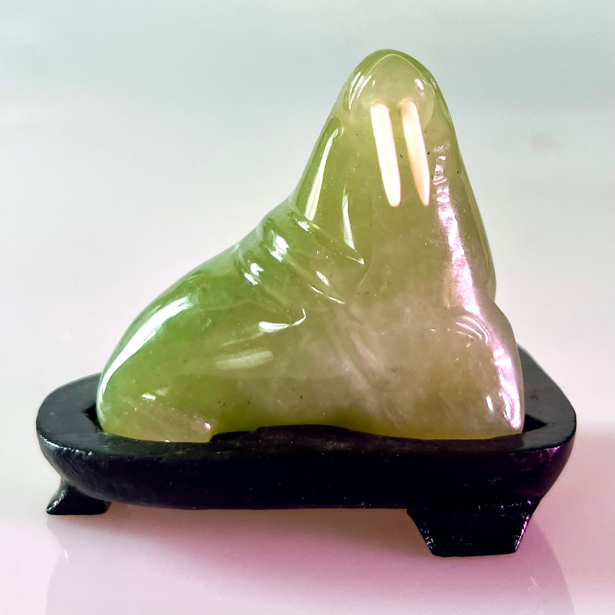 Serpentine Walrus - Unique Handmade Jewelry for Women | Perfect Gift for Birthdays, Anniversaries & Special Occasions