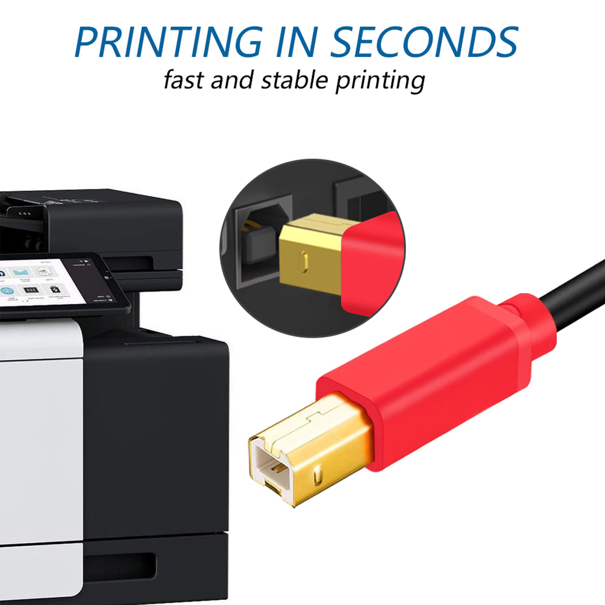 7M USB 2.0 Printer Cable - High Speed Gold-Plated A Male to B Male Scanner Cord for HP, Canon, Lexmark, Dell, Xerox, Samsung Printers | Durable Office & Home Use Connectivity Solution
