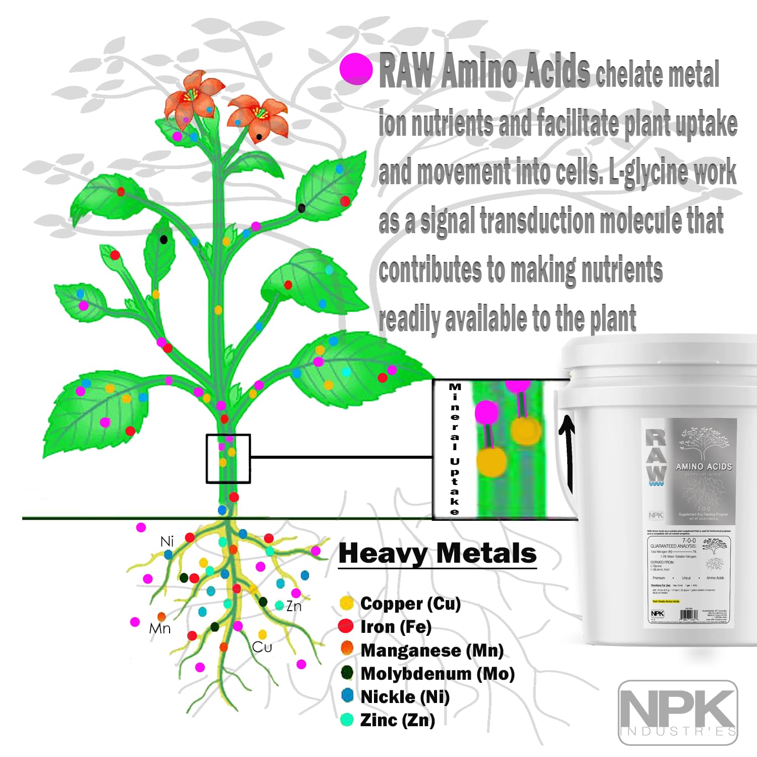 Premium RAW Amino Acids - Organic Plant Nutrient Supplement for Hydroponics, Soil & Foliar Feeding | Boosts Growth & Yield