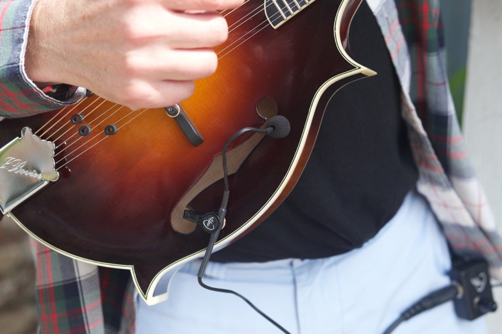 Premium Feather Mandolino Pickup with Flexible Micro-Gooseneck - Professional Acoustic Instrument Mic by Myers Pickups - Perfect for Live Performances, Studio Recording & Traveling Musicians