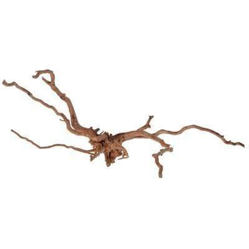 Aqua Natural Gold Vine - Premium Quality for Home Decor, Wedding Centerpieces & DIY Crafts | Organic Dried Vine for Rustic & Boho Style