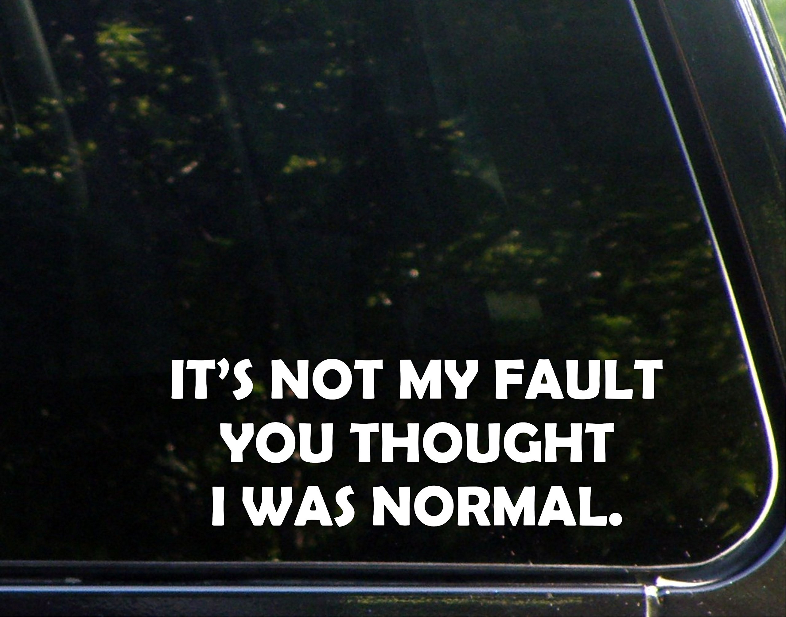 It's Not My Fault You Thought I Was Normal