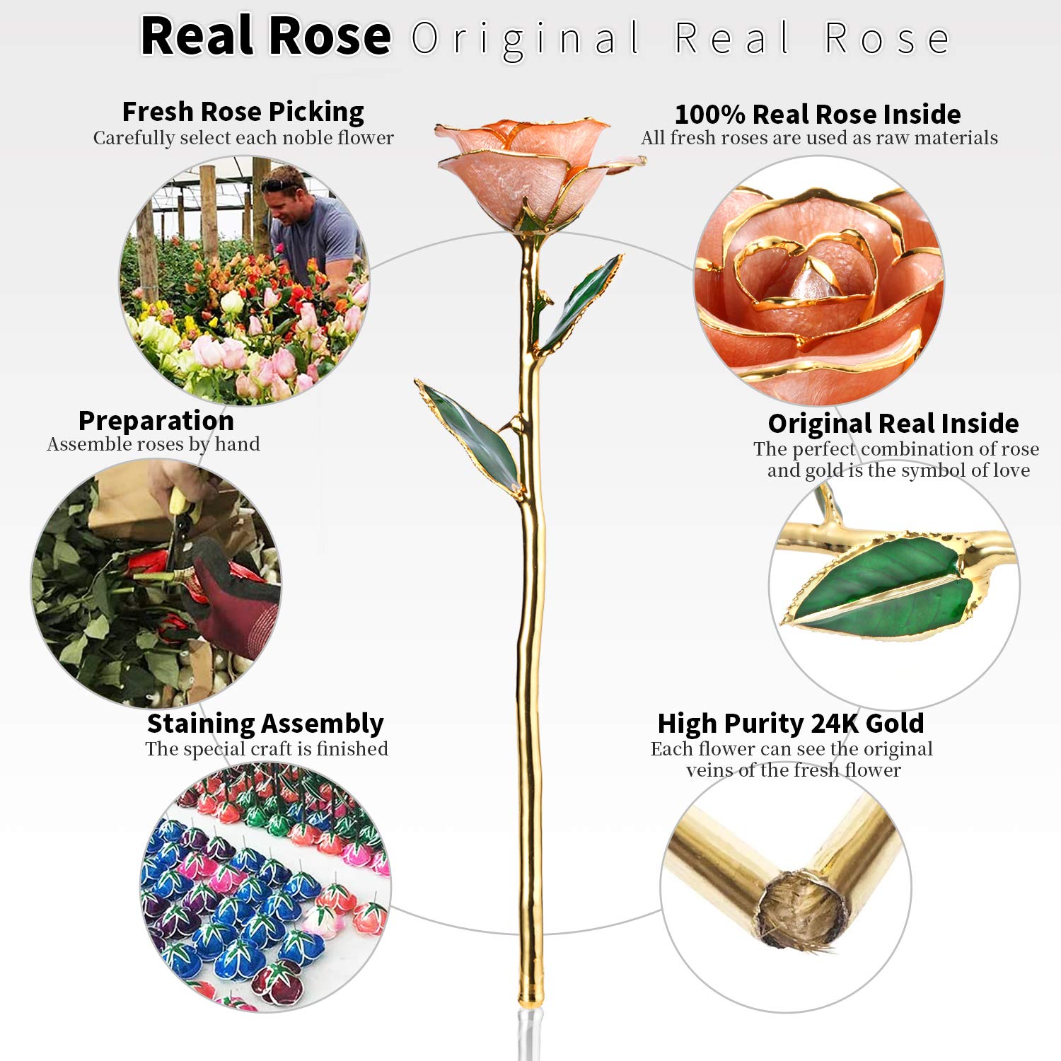 24K Gold Dipped Real Rose in Pink with Stand - Luxurious Eternal Flower Gift for Her, Wife, Anniversary, Valentine's Day - Perfect for Romantic Occasions, Wedding Decor & Home Display