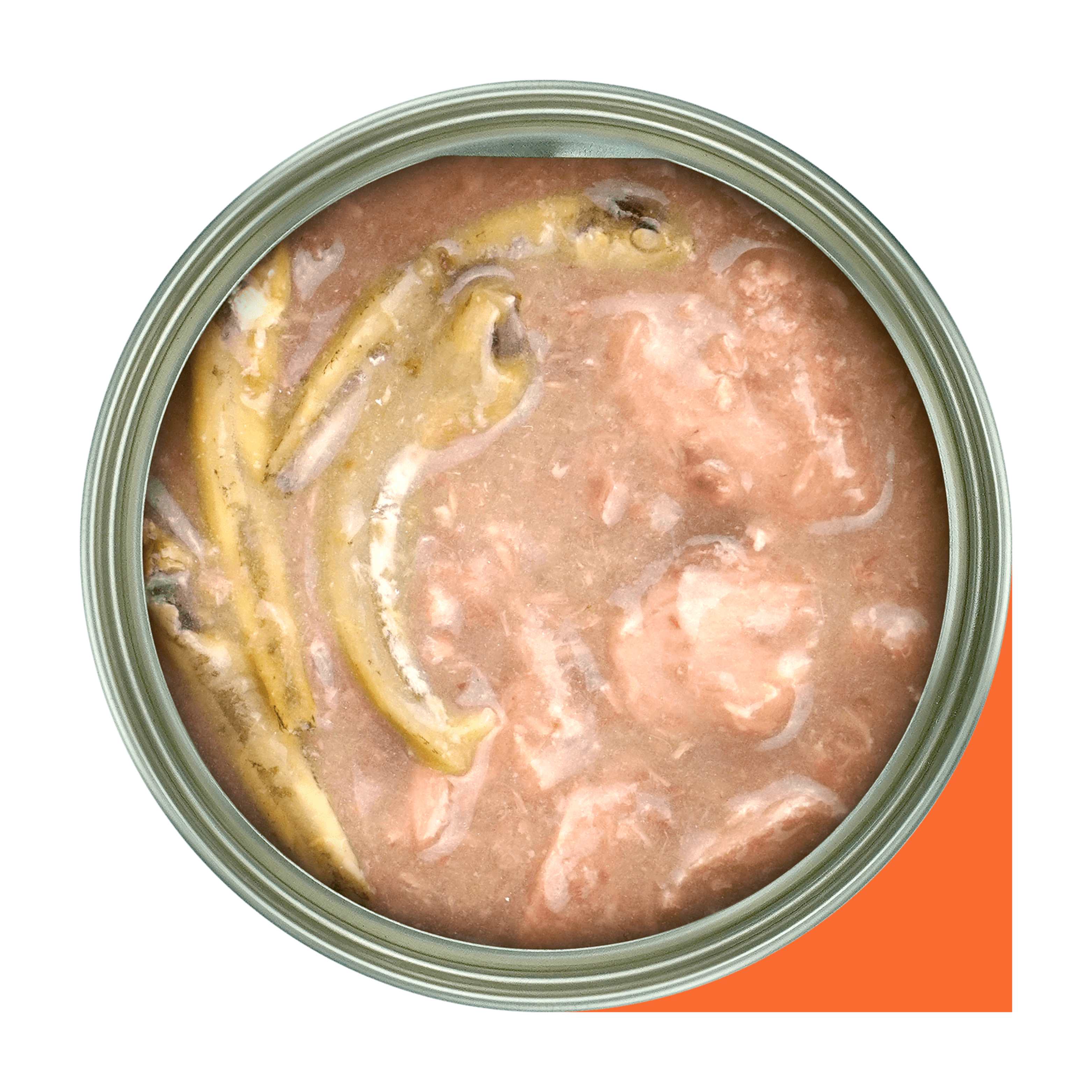 Premium Fussie Cat Goat Milk Tuna with Anchovies in Gravy - 70g Wet Cat Food for Kittens & Adult Cats | High Protein Grain-Free Recipe | Perfect for Picky Eaters & Digestive Health