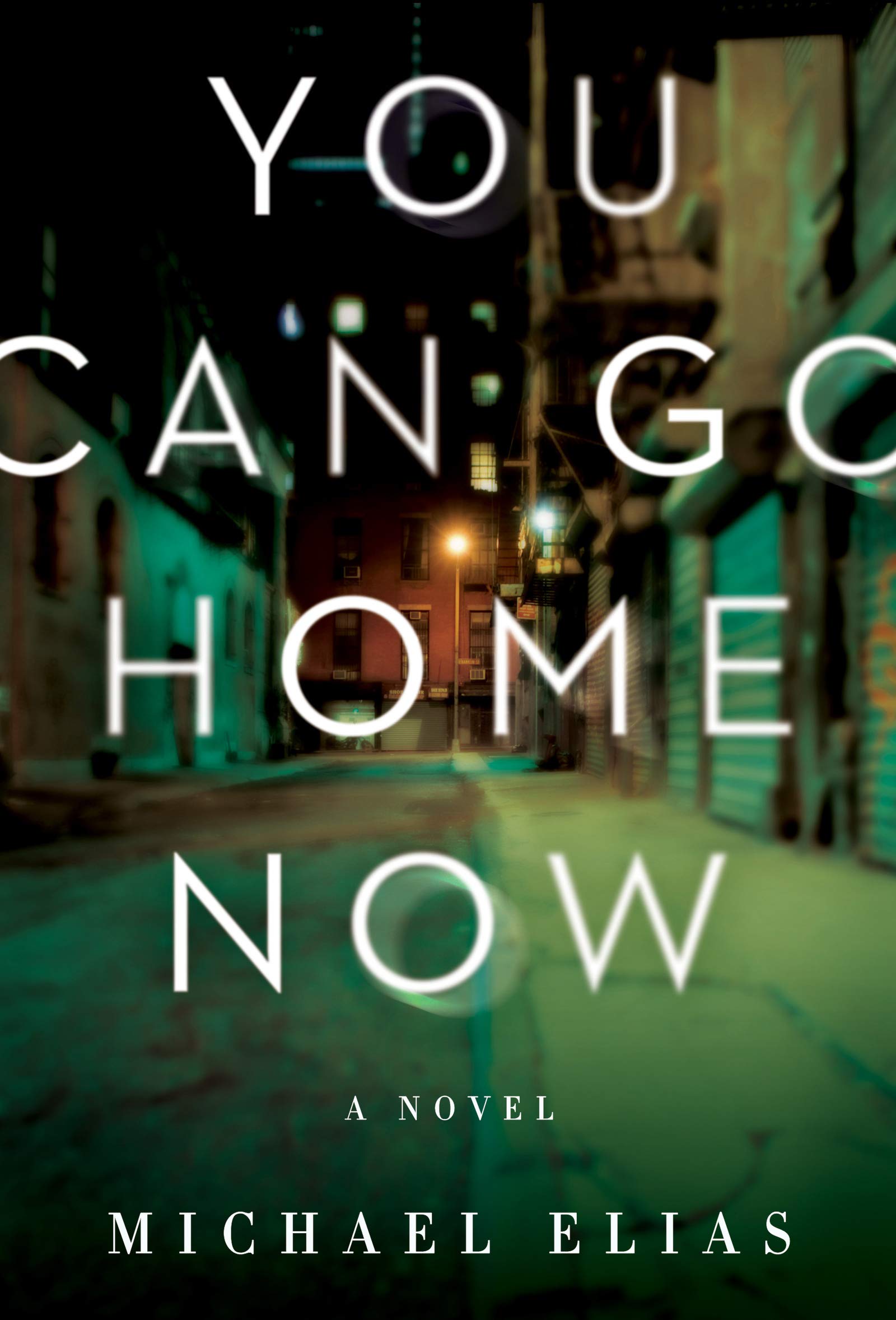 You Can Go Home Now: A Suspense Novel - Perfect for Mystery Lovers & Book Club Discussions