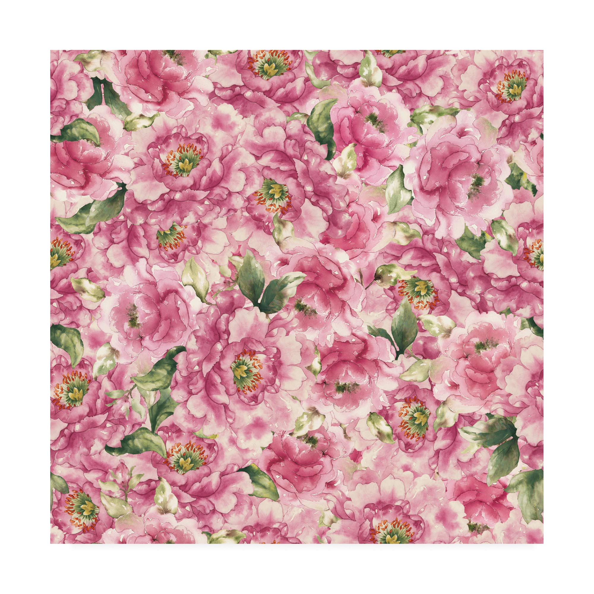 Trademark Fine Art 35x35 Bloom Pattern V by Wild Apple Portfolio - Modern Floral Canvas Wall Art for Living Room, Bedroom & Office Decor
