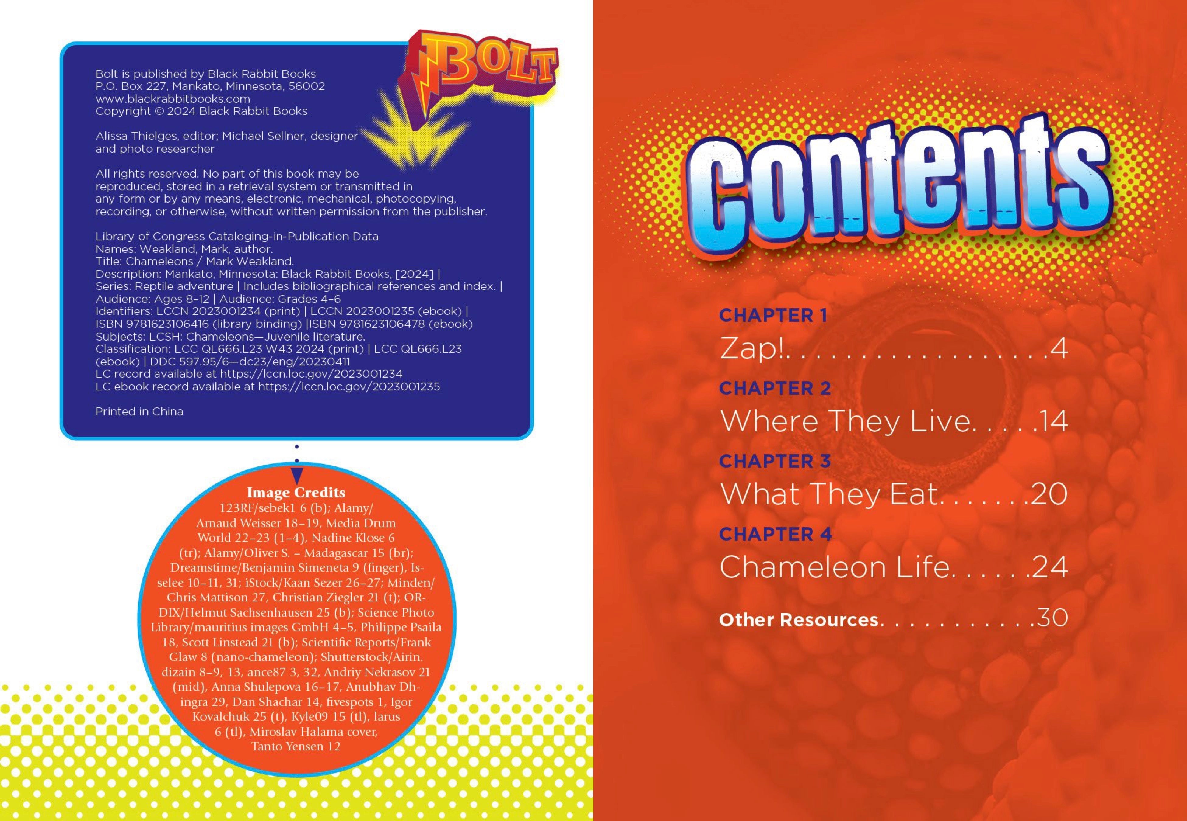 Chameleons Book - 9781623106416 - Learn About Chameleons for Kids & Adults - Perfect for School Projects & Animal Lovers