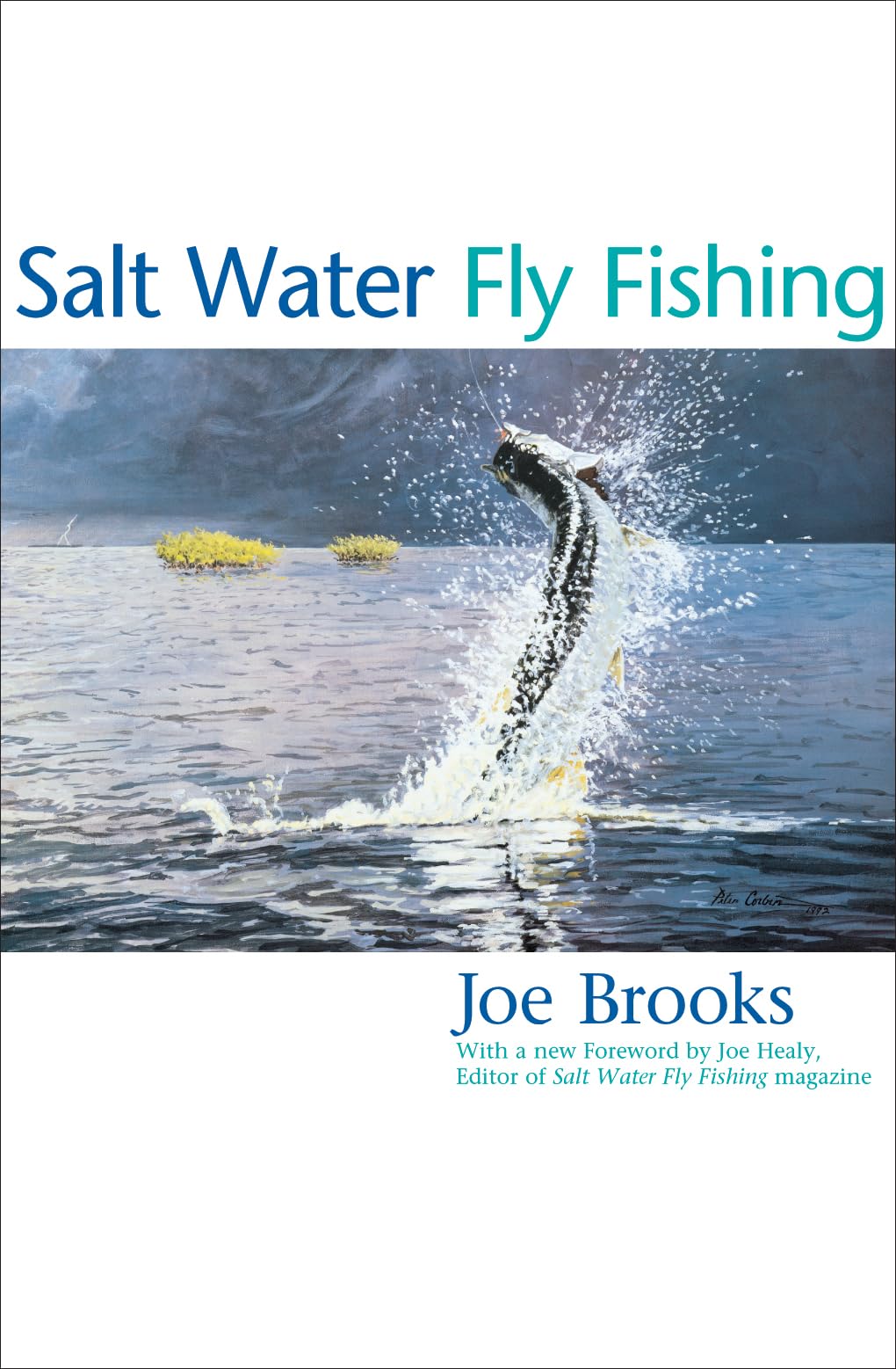 Premium Saltwater Fly Fishing Gear & Equipment for Coastal Anglers – Perfect for Deep Sea, Surf, and Inshore Fishing Adventures