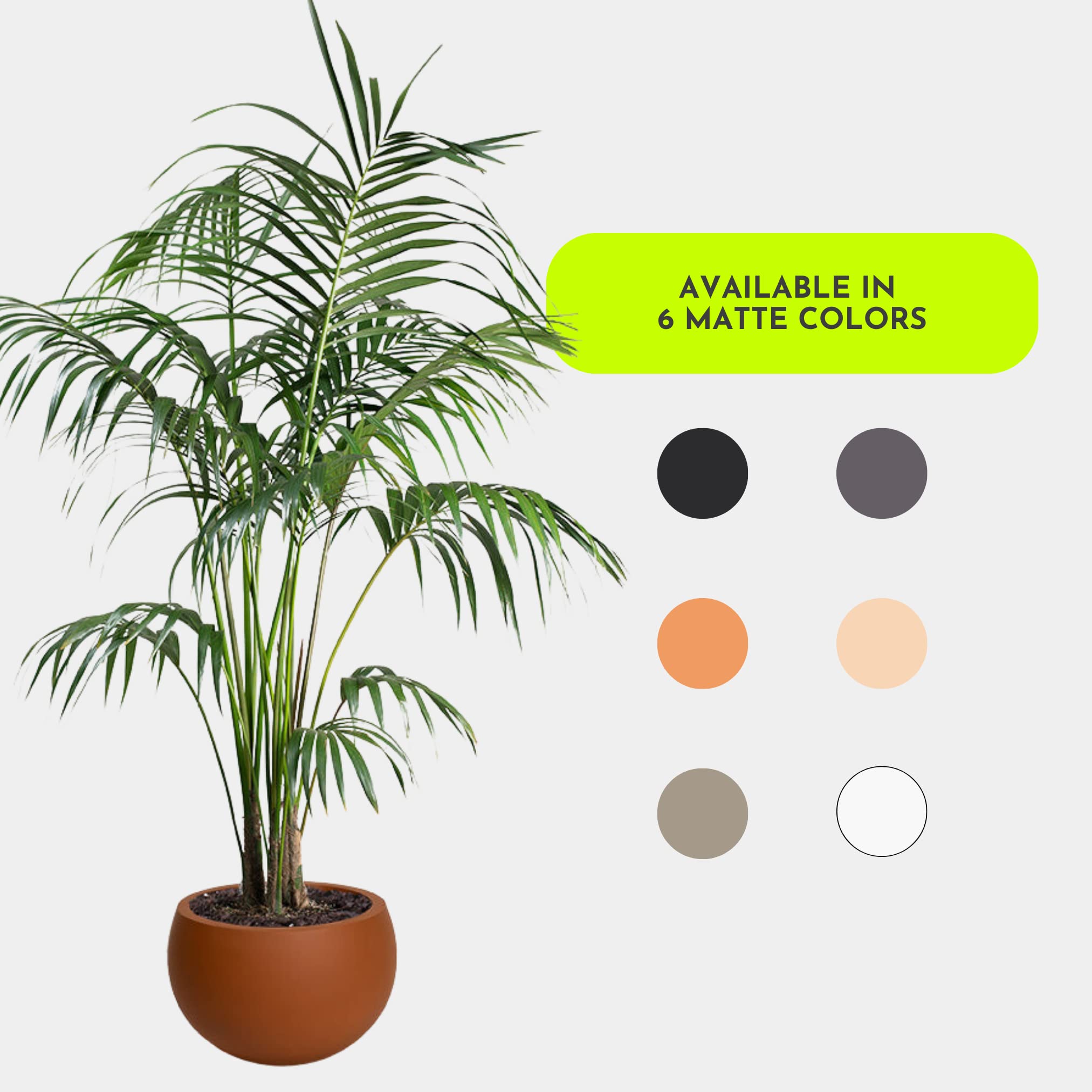 Greenery Unlimited Calyer Plant Pot - Indoor Outdoor Large Planter with Drainage Hole for Houseplants, Succulents, Herbs - Slate Grey - Perfect for Living Room, Patio, Garden Decor