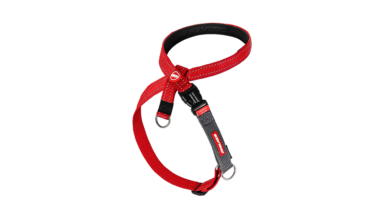 EzyDog Crosscheck Harness for Dogs - Adjustable No-Pull Pet Harness with Padded Chest Support - Red - Perfect for Walking, Running & Outdoor Adventures