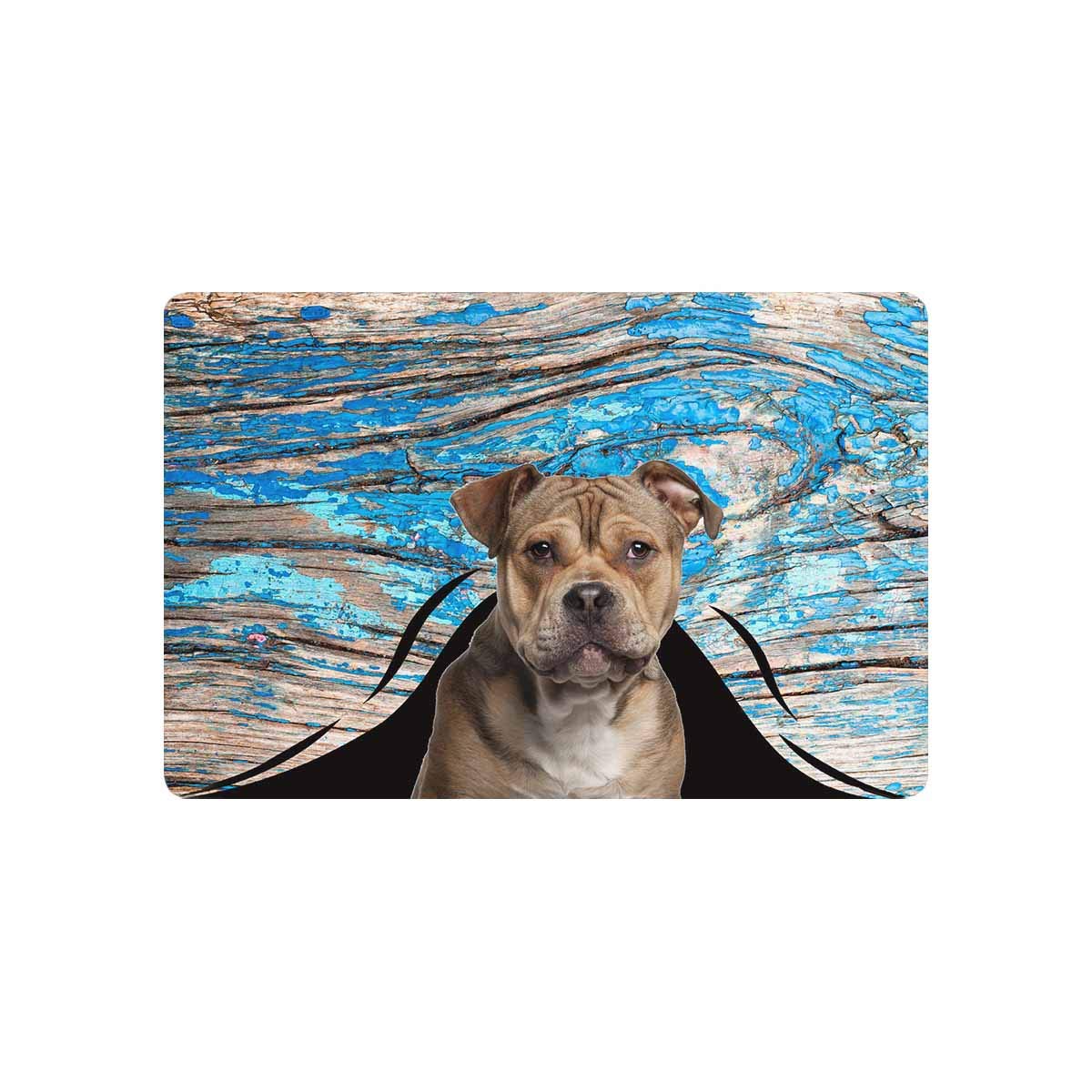 Custom Pet Dog Picture Doormat - Personalized Entrance Mat for Home & Office - 23.6x15.7 Inch Non-Slip Floor Mat - Perfect Welcome Mat for Front Door Decor & Pet Lovers