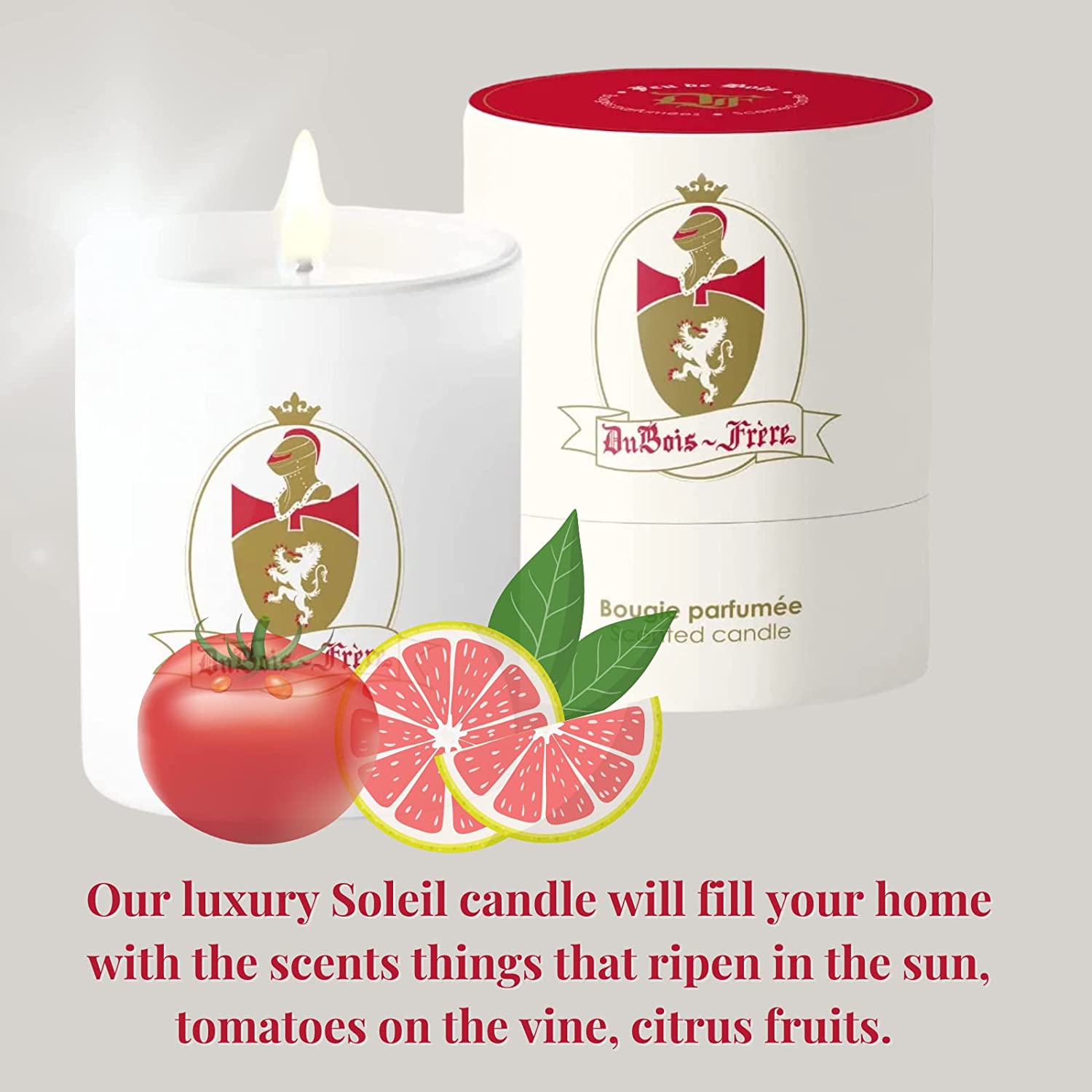 Dubois Frere Luxury Scented Candle - Aromatherapy Home Decor with Long-Lasting Vine Citrus Fragrance, 190g (Soleil) - Perfect for Weddings, Birthdays, Holiday Gifts & Winter Home Fragrance Decor