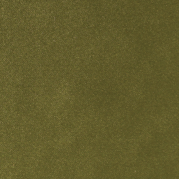 Aceituna