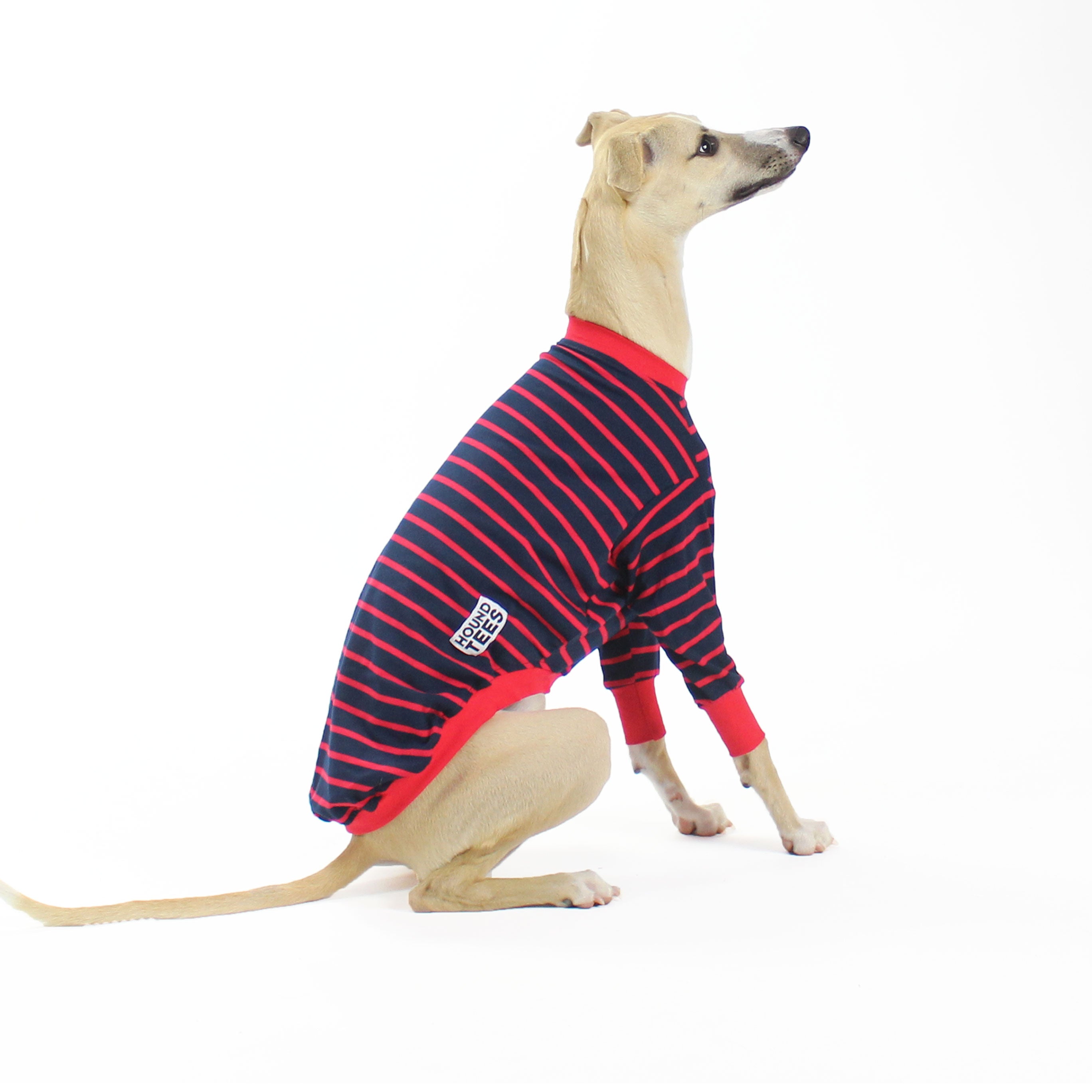 Long Sleeve Whippet Dog T-Shirt for Hound Lovers - Comfortable & Stylish Pet Apparel for Casual Wear, Dog Parks & Outdoor Adventures