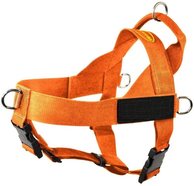 DT Universal No-Pull Dog Harness with Service Dog Patches - Adjustable Reflective Pet Vest for Small Dogs (Orange, XS) - Perfect for Training, Walking & Service Animal Identification