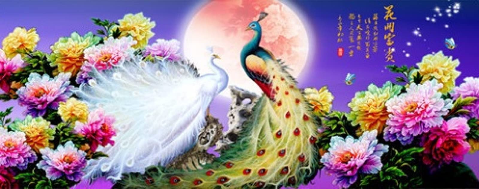 5D Diamond Painting Kit for Adults - Peacock Flower Full Drill DIY Diamond Embroidery Art, 28x56 Inch Wall Decor for Living Room, Bedroom & Office | Perfect Stress Relief Gift for Women & Craft Lovers
