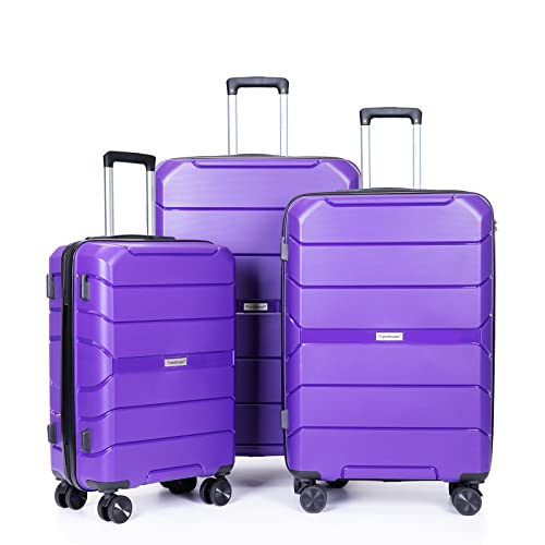 Purple-31