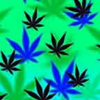 Marijuana Blue Leaf